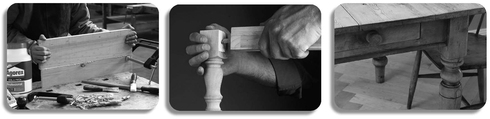 Agorex Profesional (2)