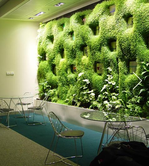 Muro Verde/Jardin Vertical de Verde 360º