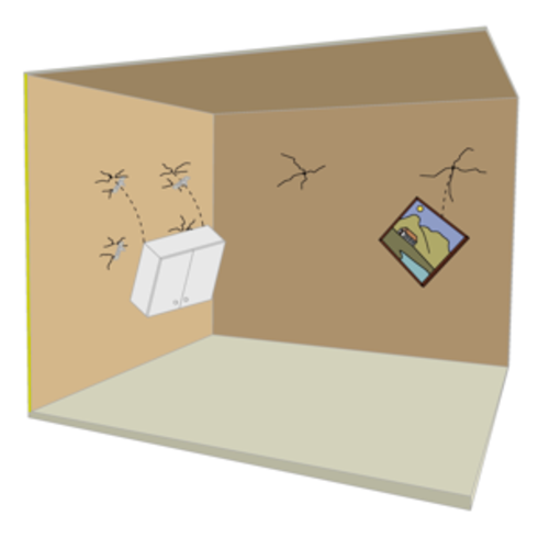a.5.1 a.5.1