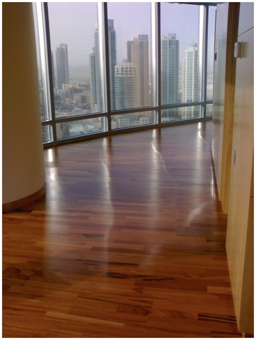 Agorex Parquet (1)