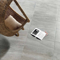 60 x 60 plata