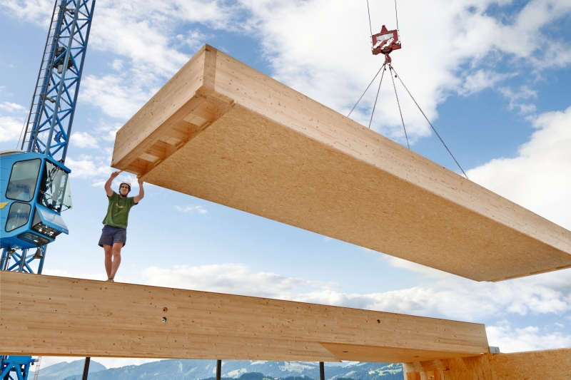 Gallery of Timber Construction Board OSB 4 TOP 11