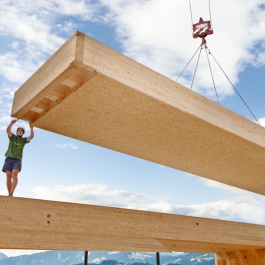 Gallery of Timber Construction Board OSB 4 TOP 11