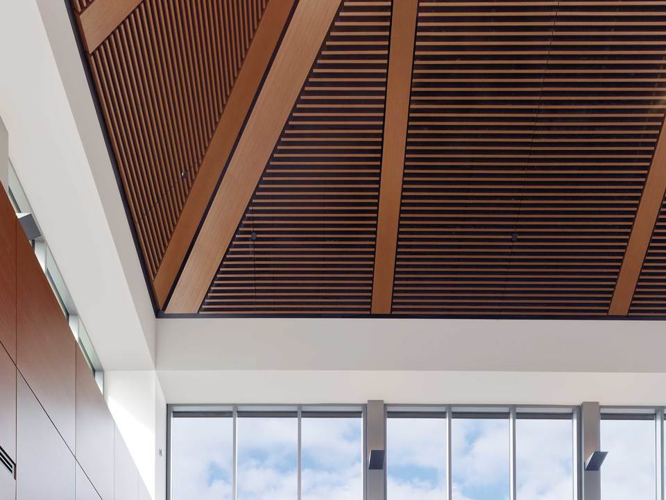 Gallery Of Ceiling And Wall Panels Saranté Finish Faul Wood Zoom Image View Original Size