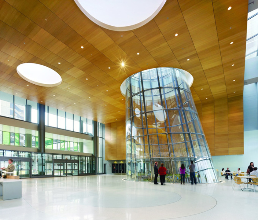 Gallery Of Ceiling And Wall Panels Arboreal Finish Wood Veneer