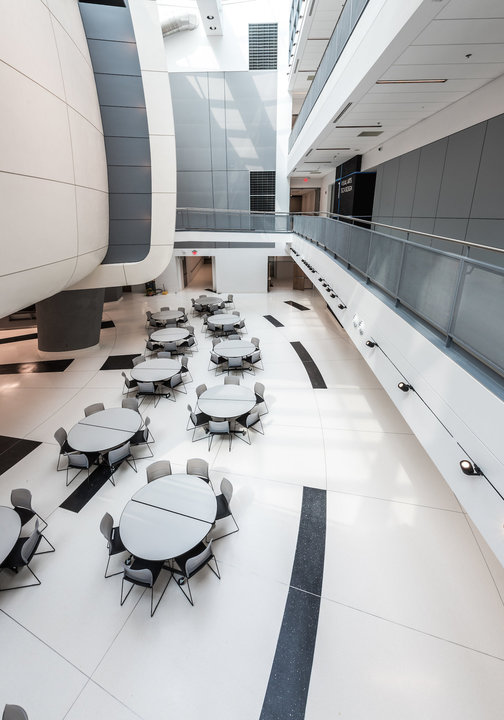 Terroxy Resin Systems In Schools From Terrazzo Marble