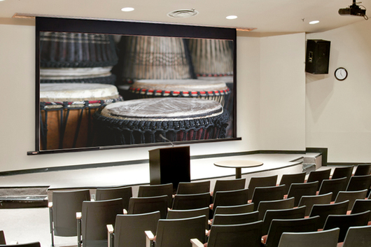 Electric Projection Screens