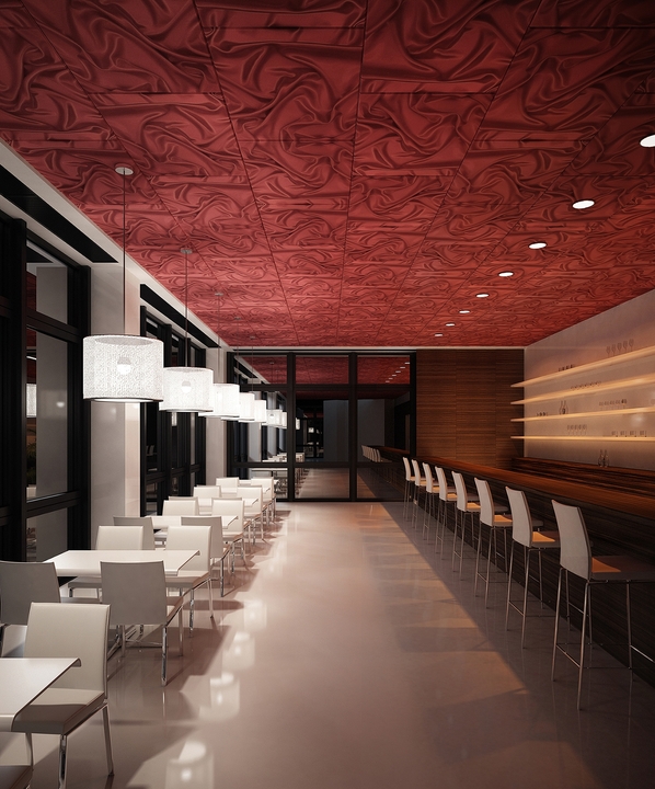 Gallery Of Acoustical Ceilings Techstyle Canvas 7