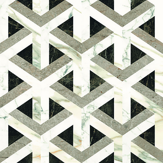 Wild Forest | Apavisa