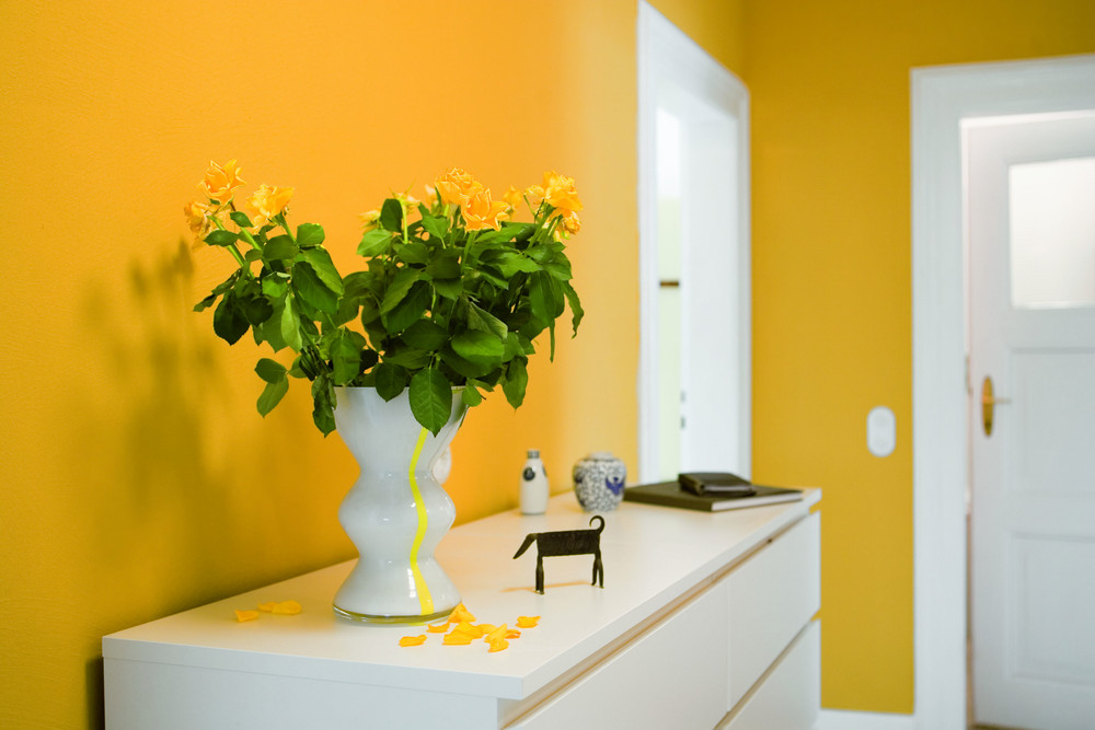 Gallery of Interior Mineral Paint KEIM Optil® 5