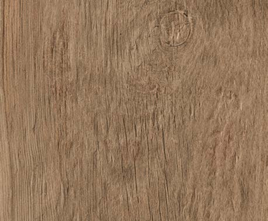 Axi Brown Chestnut | Atlas Concorde