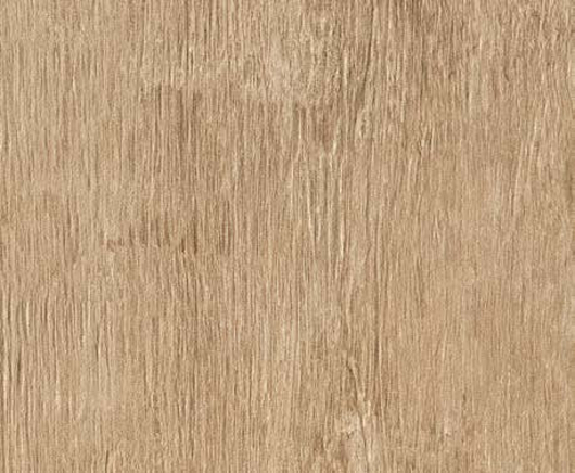 Axi Golden Oak | Atlas Concorde