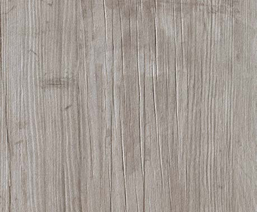 Axi Silver Fir | Atlas Concorde