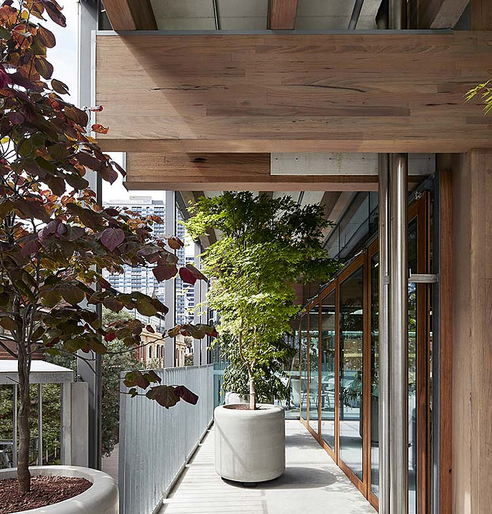 Columns Beams Masslam From Australian Sustainable Hardwoods Ash