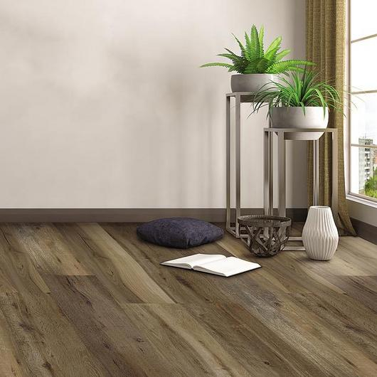 busqueda de productos