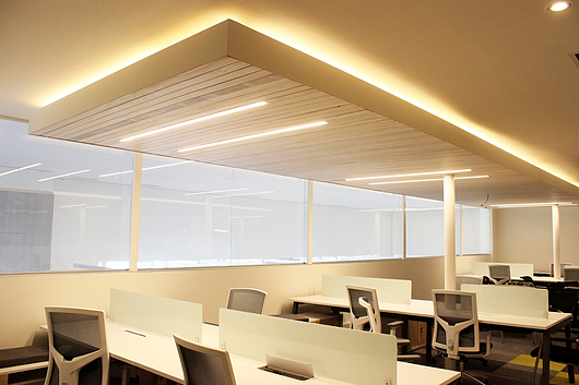 Revestimientos para Cielos Interiores | Revo