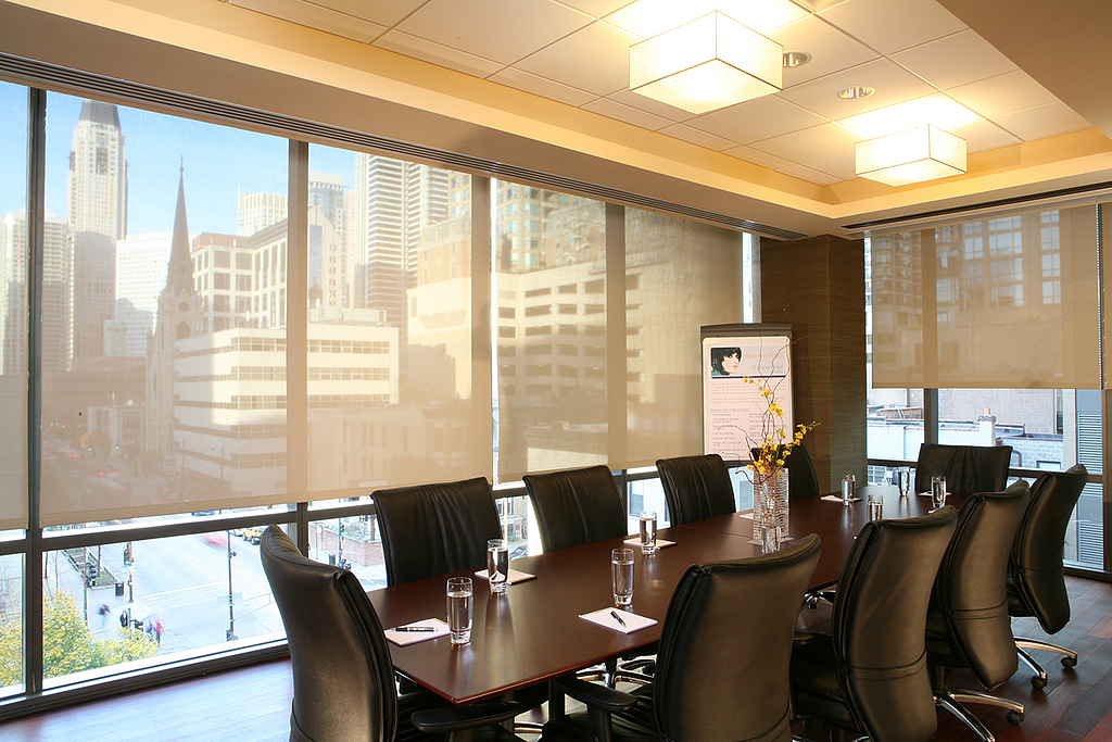 Motorized FlexShade® Roller Shade from Draper