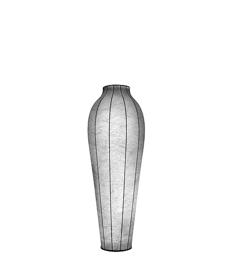 Chrysalis