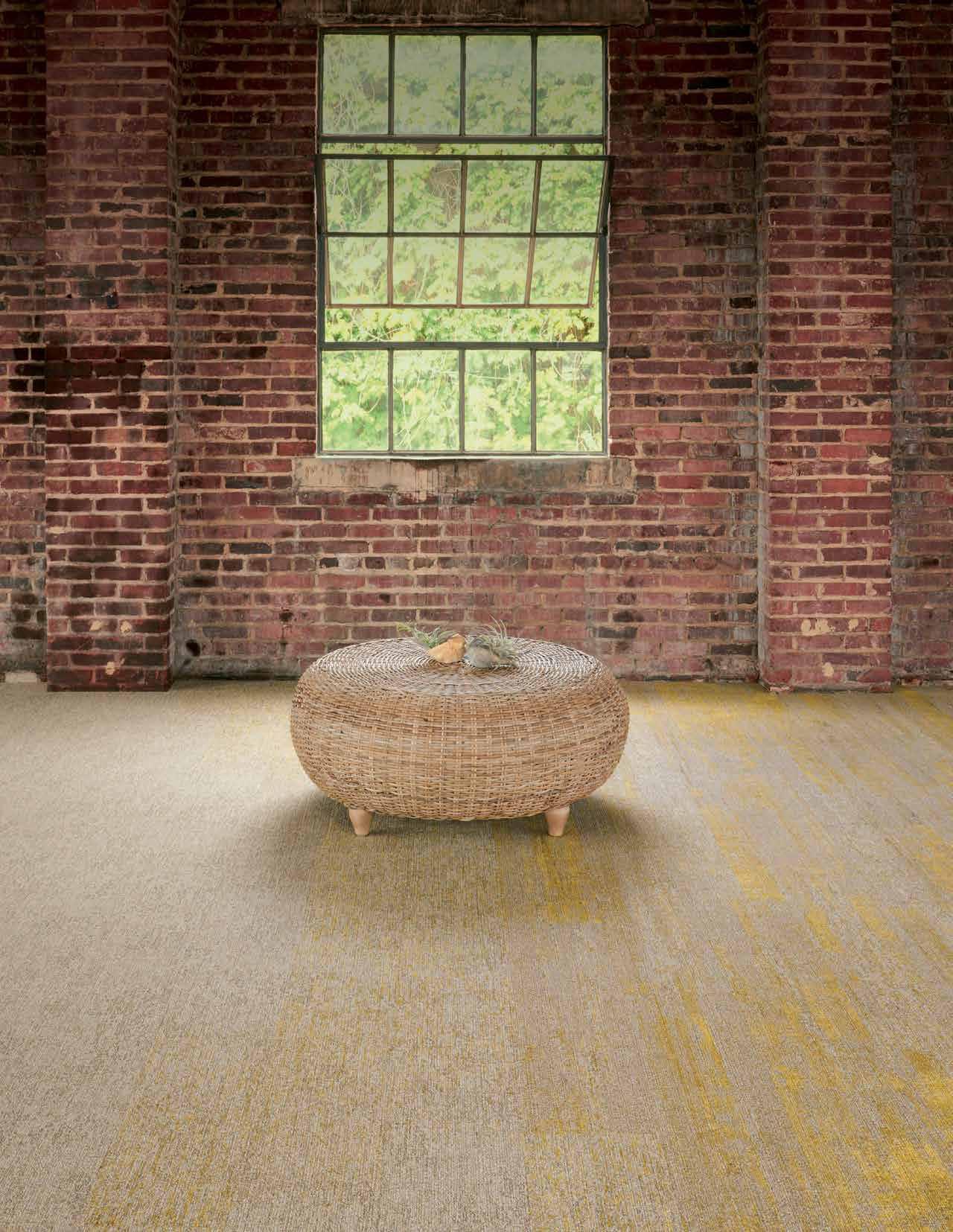 Galeria de Alfombras Low Country de Milliken 1