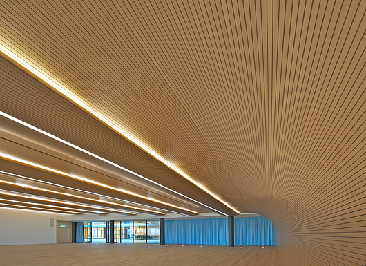 Plafones de madera de IHO