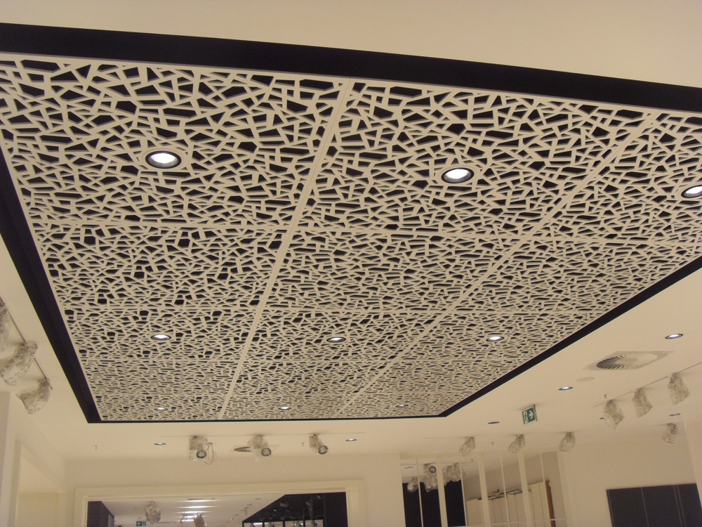 Gallery of Panels for Suspended Ceilings - 6