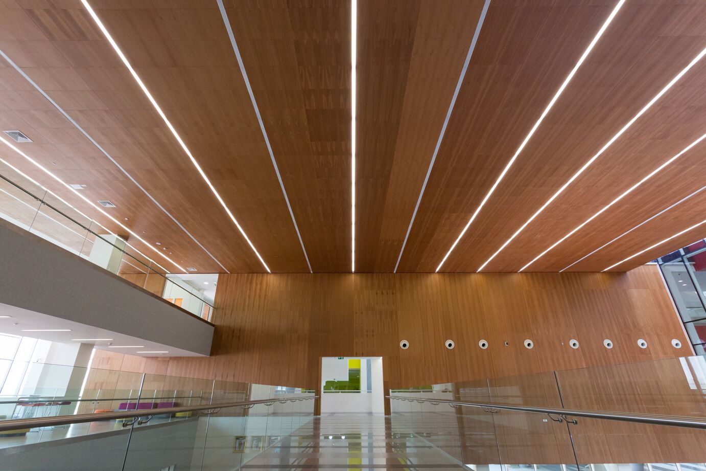 Hub Ceiling Wood – Veneered Wood Ceiling & Wall Panels from Hunter Douglas ...