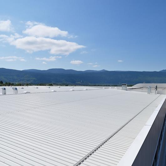Metal Panels for Roofs - Trimoterm SNV from Trimo