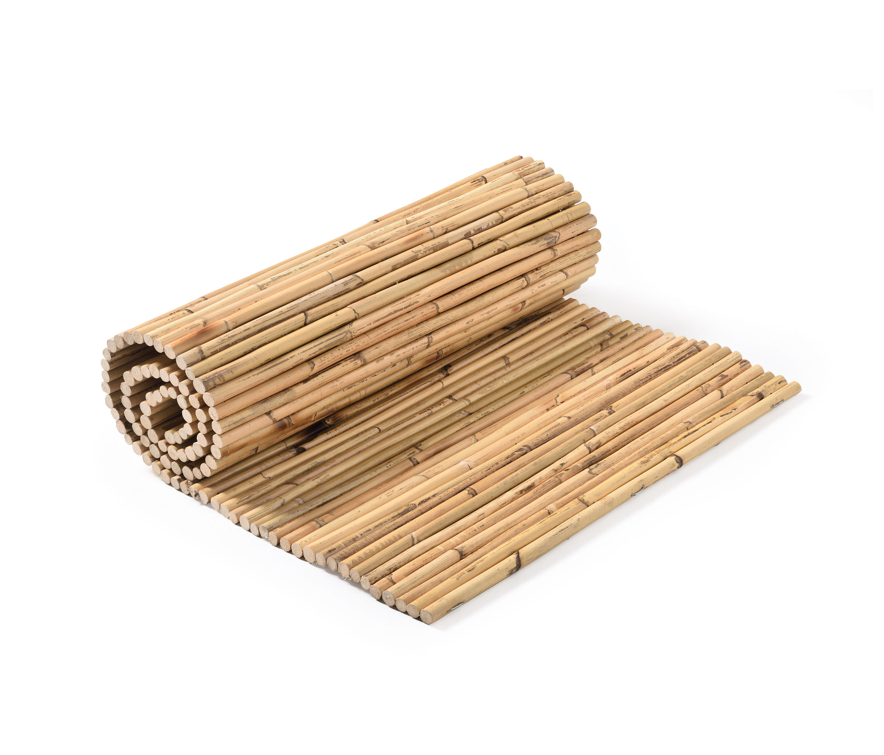 Gallery of Bamboos Rattan Bamboo 1