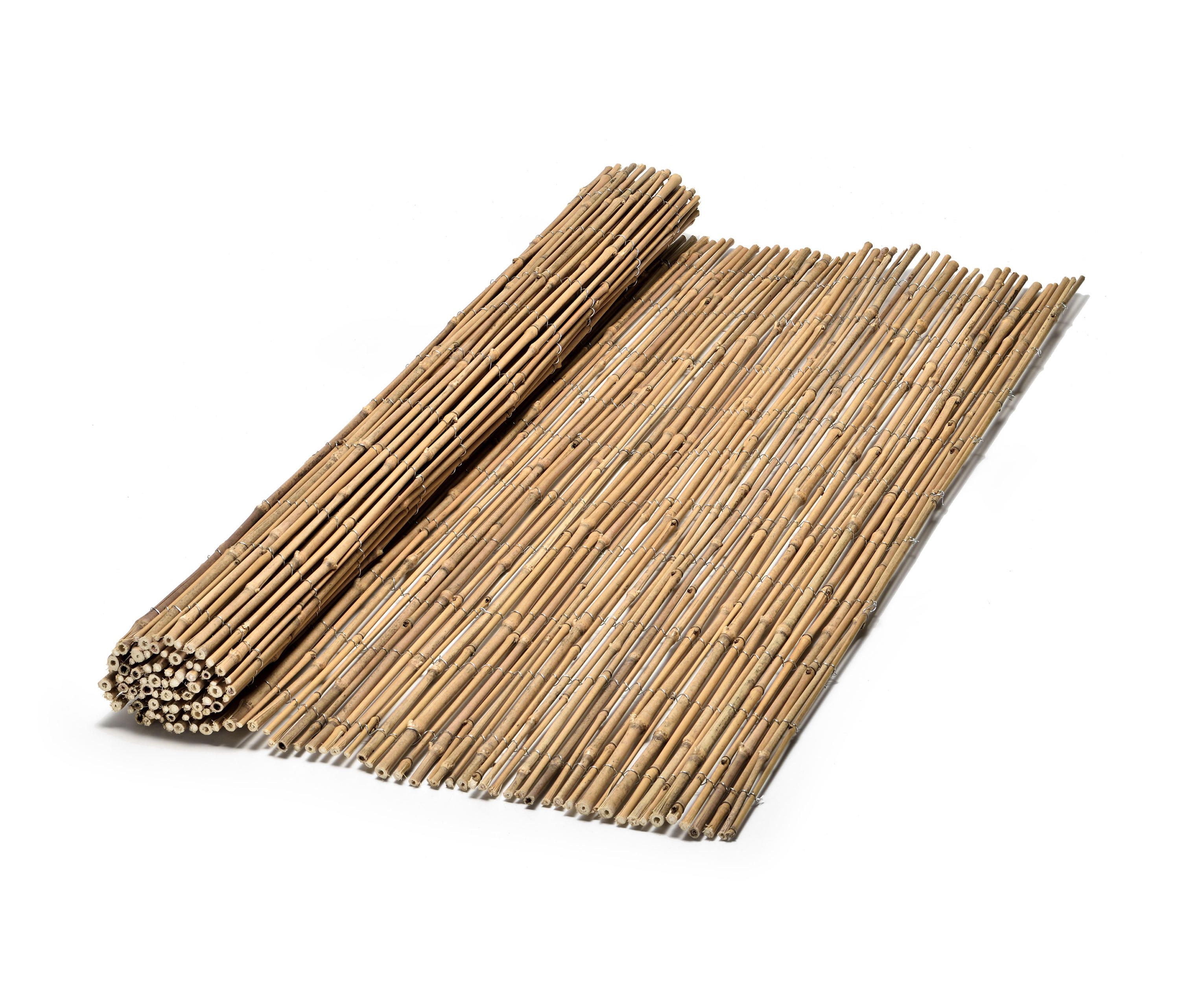 Bamboo Reed Case Gallery of Reeds - Bamboo Ku - 1