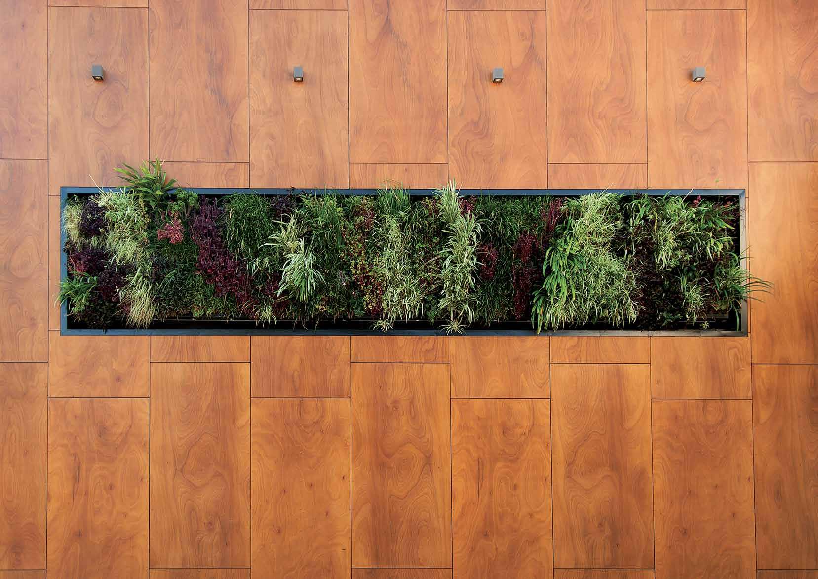 Galeria de Revestimiento interior de madera - Prodema - 17