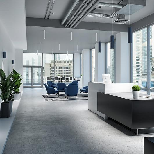 Ceiling Surface Lights - Scout from Eureka Lighting