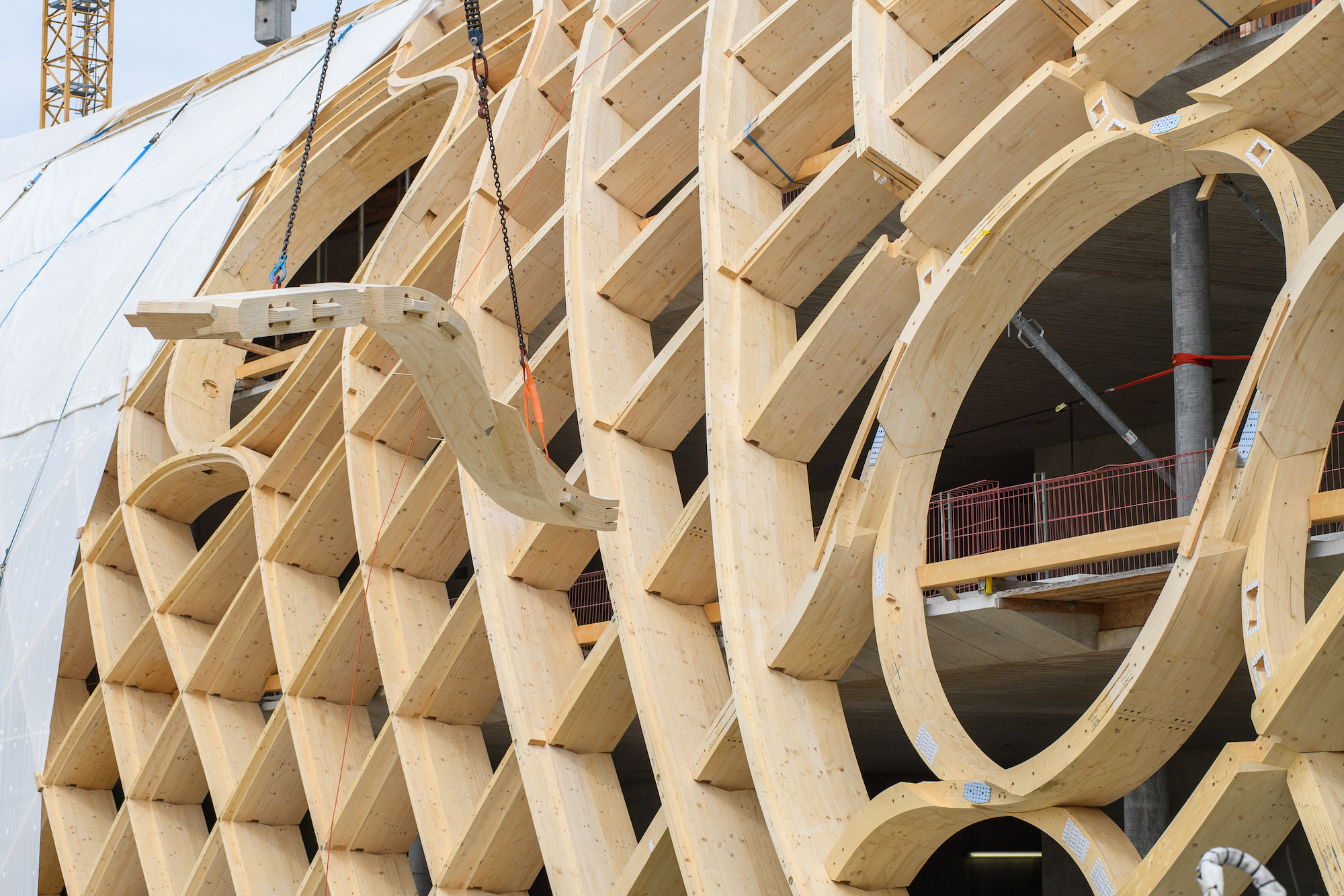 Form Timber Design Gallery of Free Form Structures for Wood Projects - 2