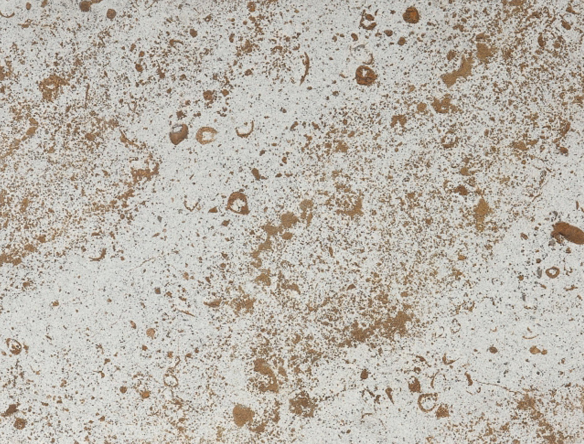 Gallery of Facade Panels - German Limestone - 24