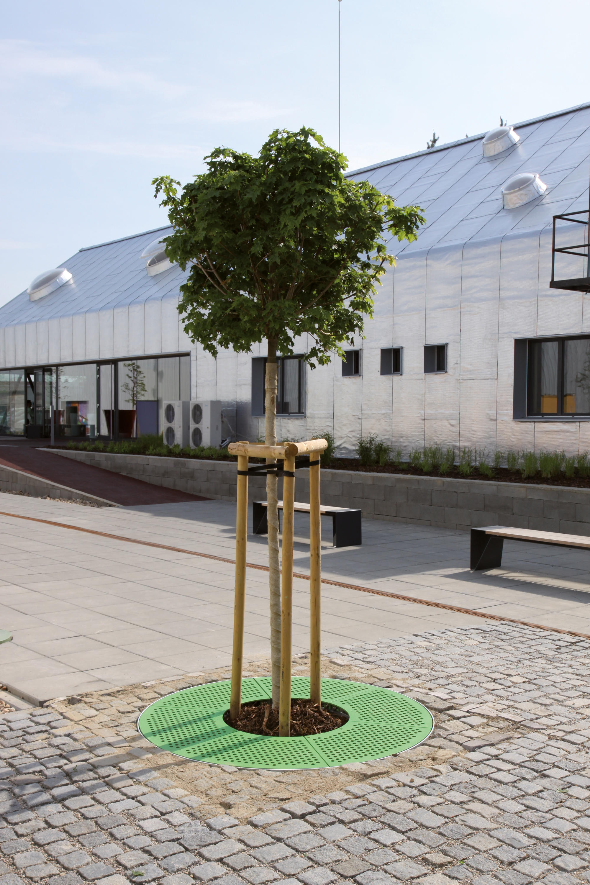Gallery of Tree Guard - Sinus - 3