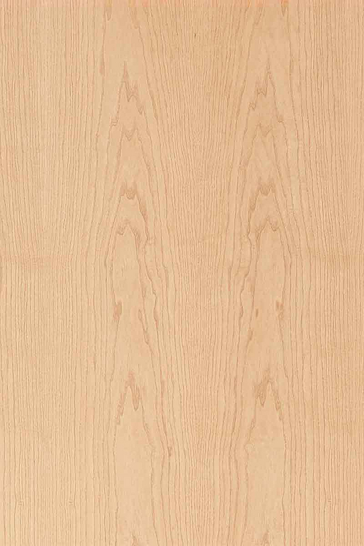 European Ash