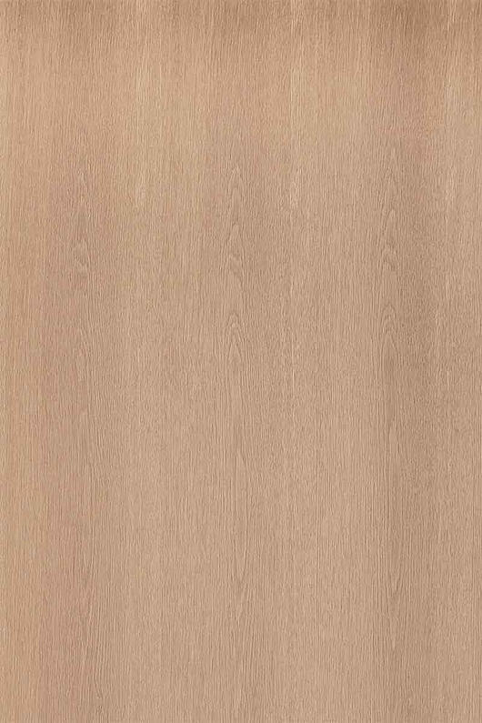 Sand Oak