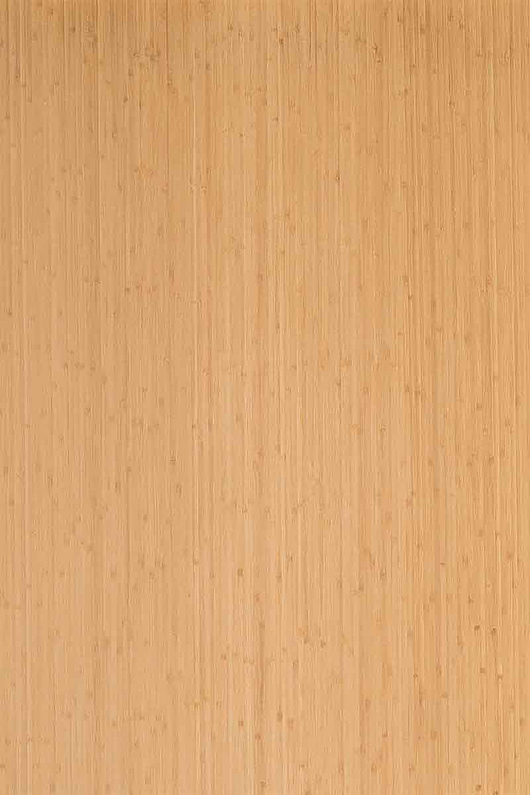 Bamboo