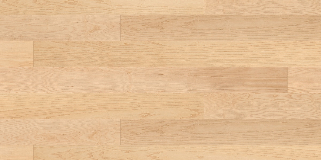 European Ash