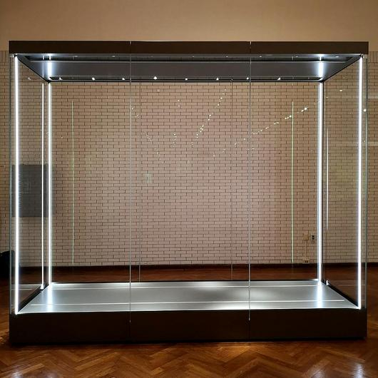 Display Case Lighting & Shelving from Zone Display Cases