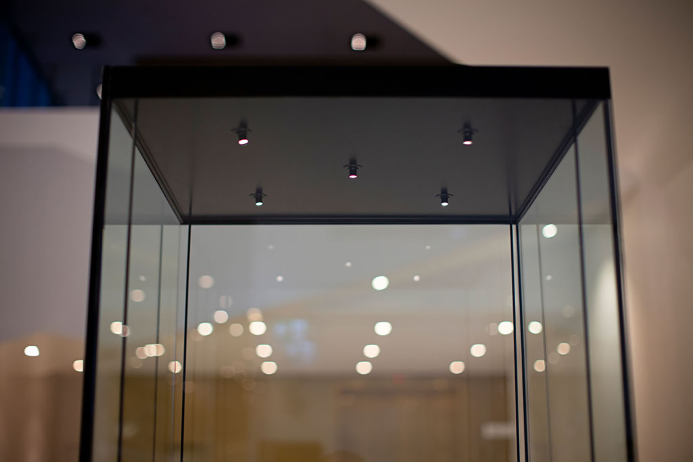 How To Make Display Case Light at Evelyn Mcelroy blog