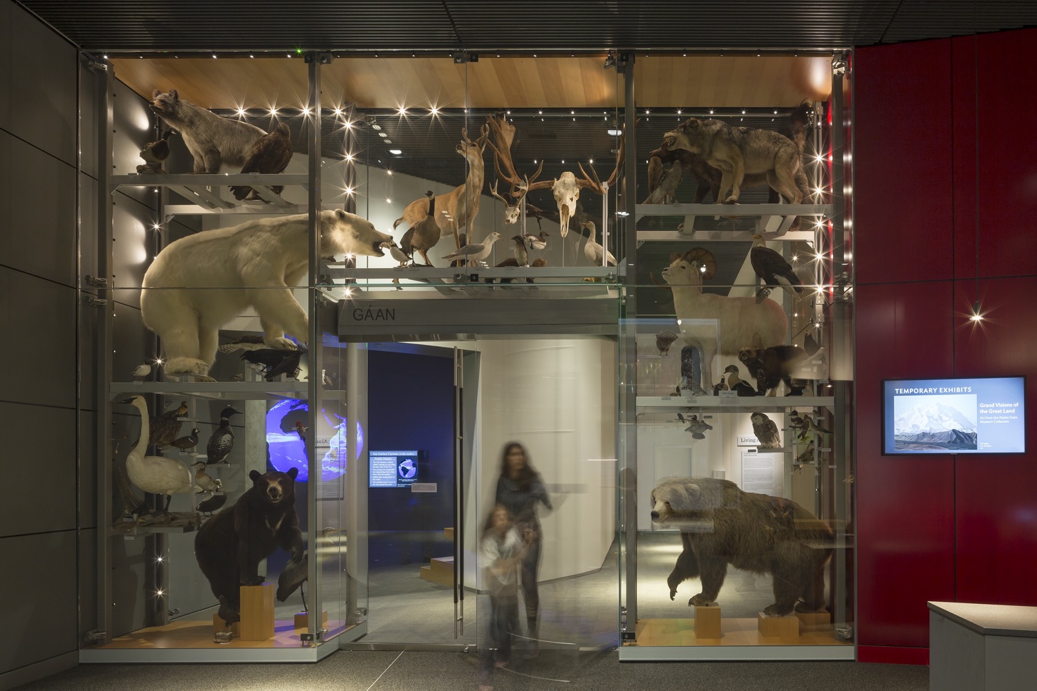 Gallery of Display Cases in Alaska State Library and Archives - 2