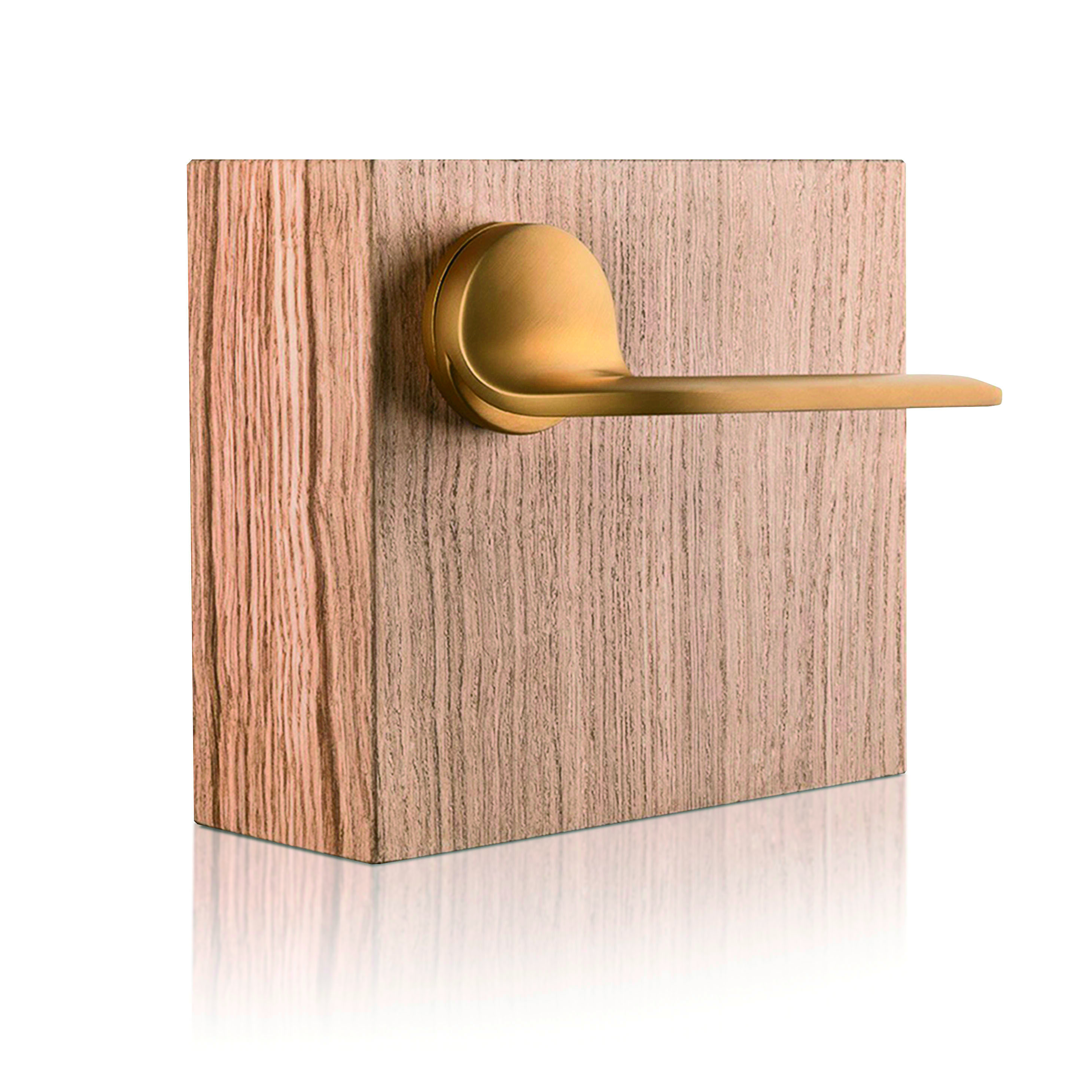 Gallery of Door Handle UP & DOWN 3