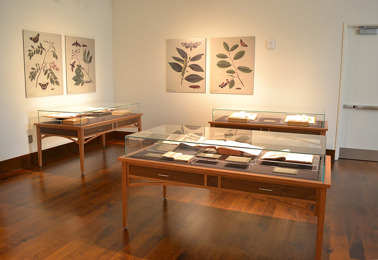 Display Case Table on 4 Legs ZT101 from Zone Display Cases