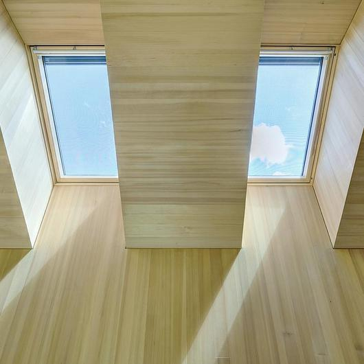 Velux Group VELUX Group catalog | ArchDaily