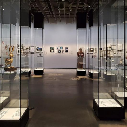 Display Cases in Denver Art Museum from Zone Display Cases