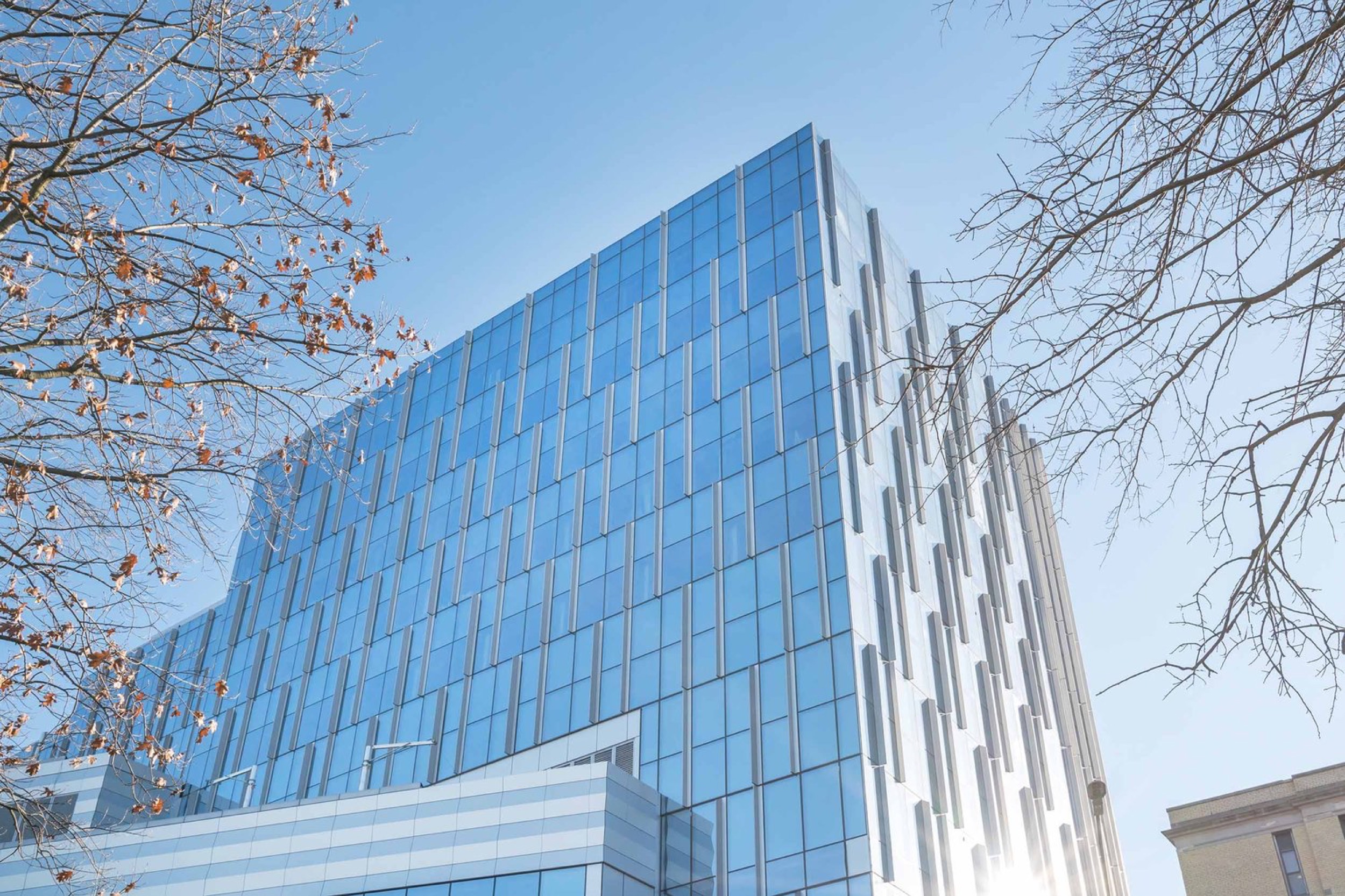 Gallery of Curtain Wall Facade on Coney Island Hospital 5