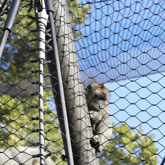 Gallery of Animal Enclosures 4