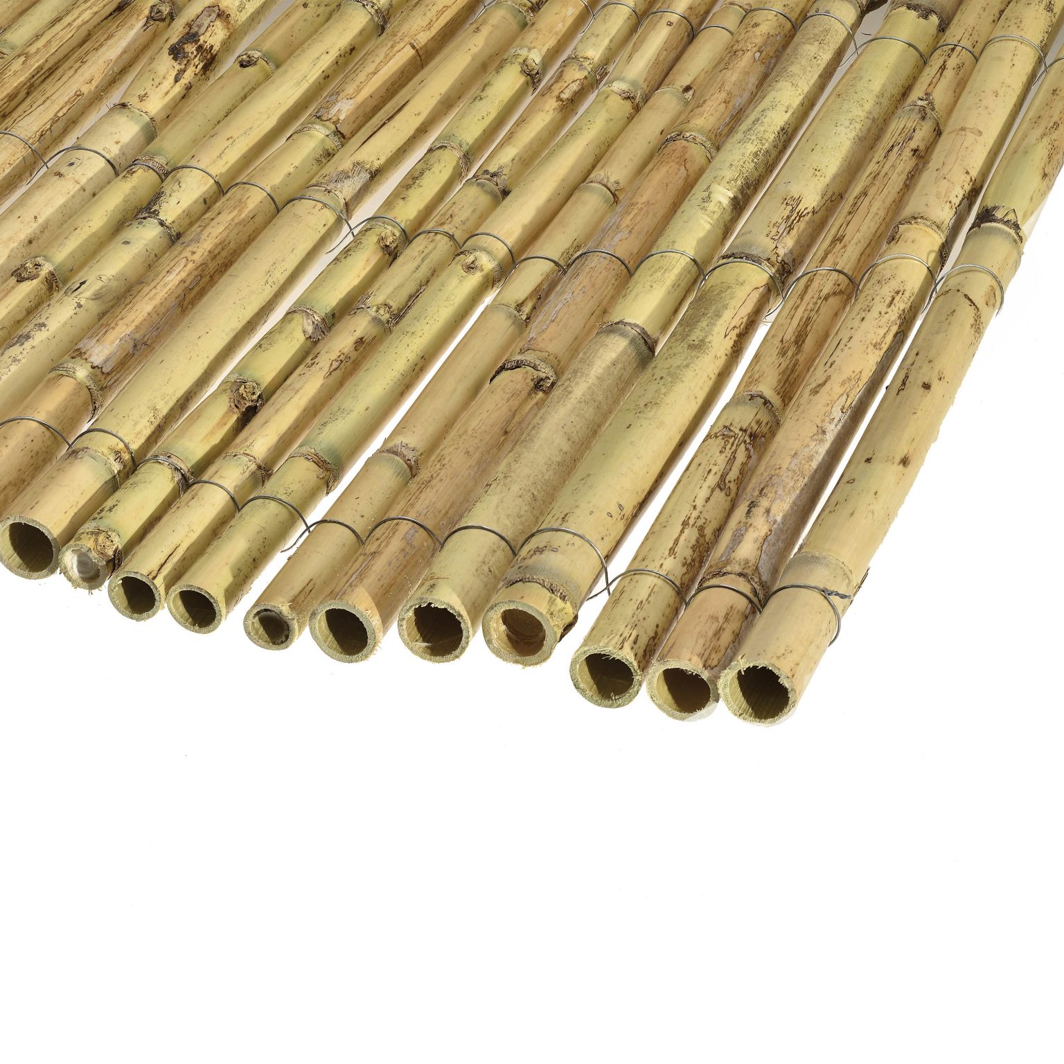Gallery of Natural Materials - Greek Cane - 2