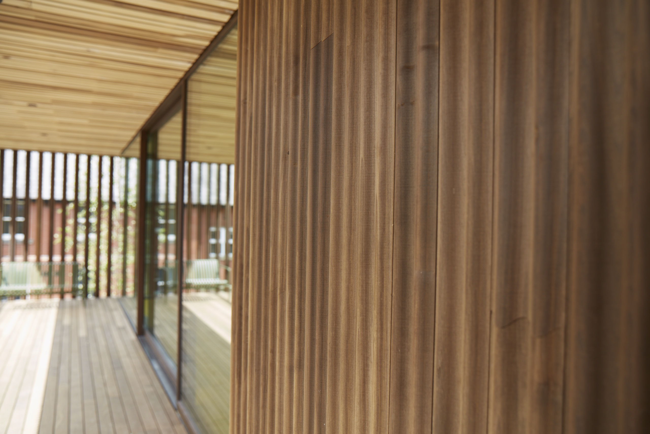 ThermoWood Cladding - Poplar from Tantimber