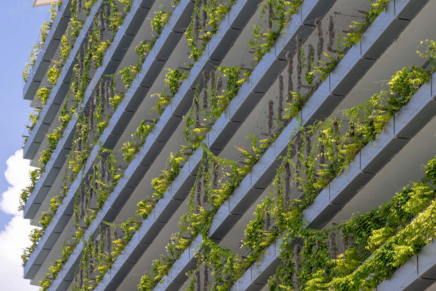 Gallery of Six Ways a Greening Improves Architecture - 5